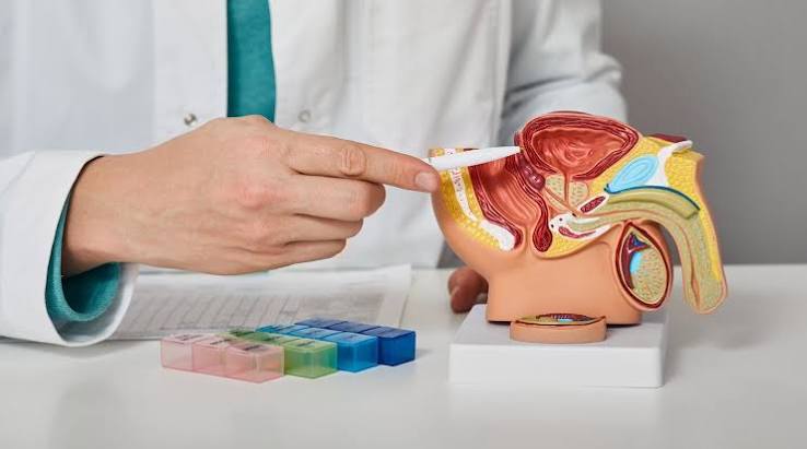 Male Reproductive Health
